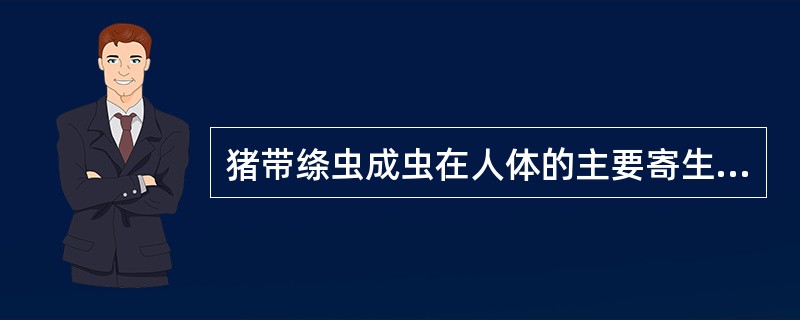 猪带绦虫成虫在人体的主要寄生部位是