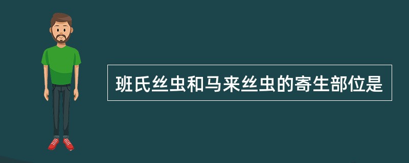 班氏丝虫和马来丝虫的寄生部位是