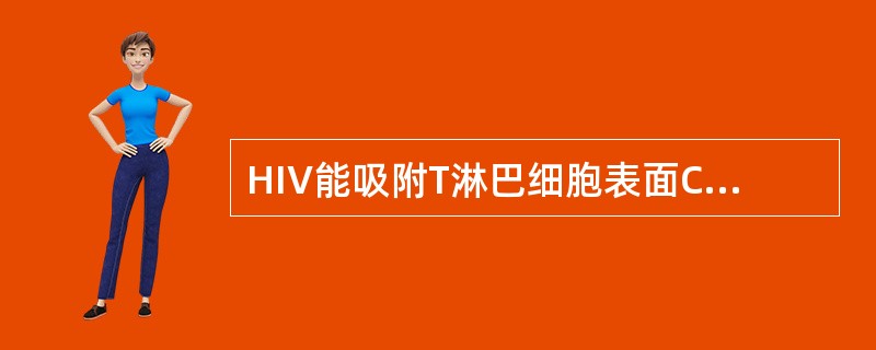 HIV能吸附T淋巴细胞表面CD4分子的蛋白是：