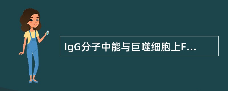 IgG分子中能与巨噬细胞上Fc受体结合的功能区是