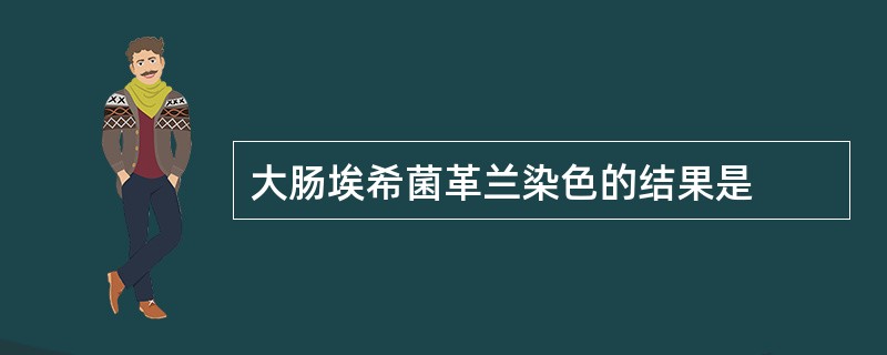 大肠埃希菌革兰染色的结果是