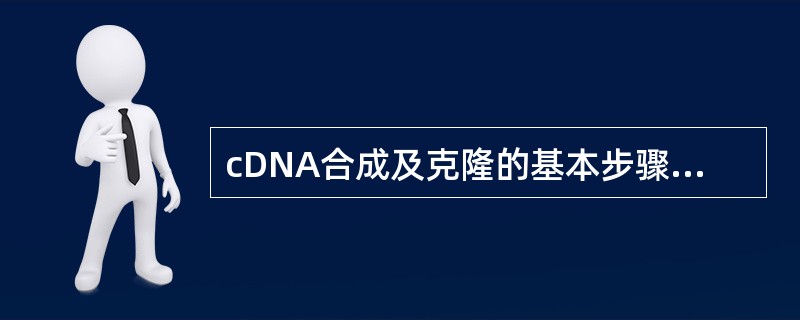 cDNA合成及克隆的基本步骤包括用反转录酶合成cDNA第一链，聚合酶合成cDNA第二链，加入合成接头以及将双链DNA克隆到适当