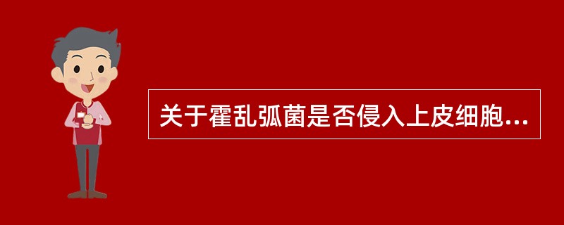 关于霍乱弧菌是否侵入上皮细胞，下列说法正确的是