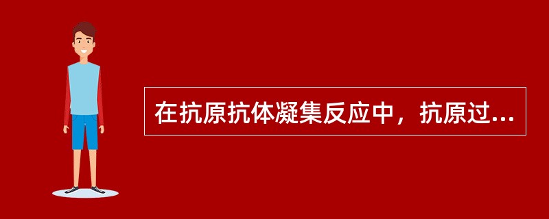在抗原抗体凝集反应中，抗原过量时