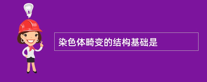 染色体畸变的结构基础是