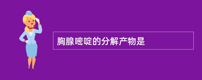 胸腺嘧啶的分解产物是