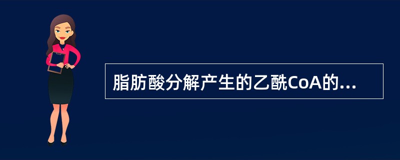 脂肪酸分解产生的乙酰CoA的去路是