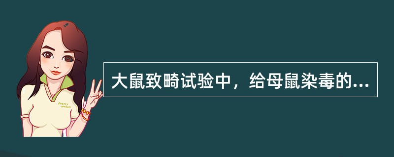 大鼠致畸试验中，给母鼠染毒的时间为