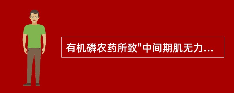 有机磷农药所致"中间期肌无力综合征"的临床特点是