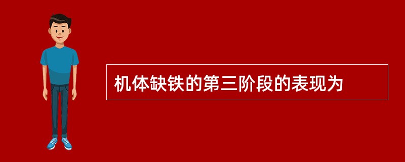 机体缺铁的第三阶段的表现为