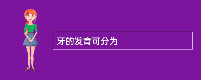 牙的发育可分为