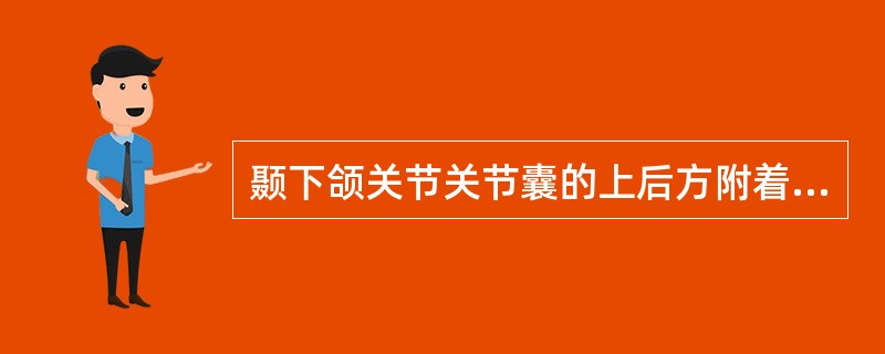 颞下颌关节关节囊的上后方附着于（）