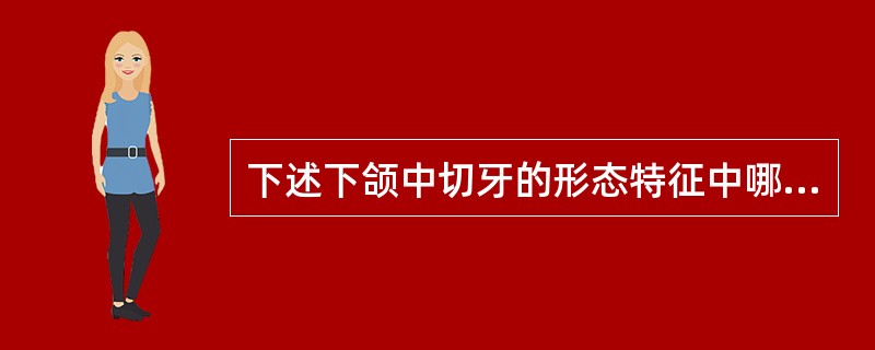 下述下颌中切牙的形态特征中哪个不正确（）