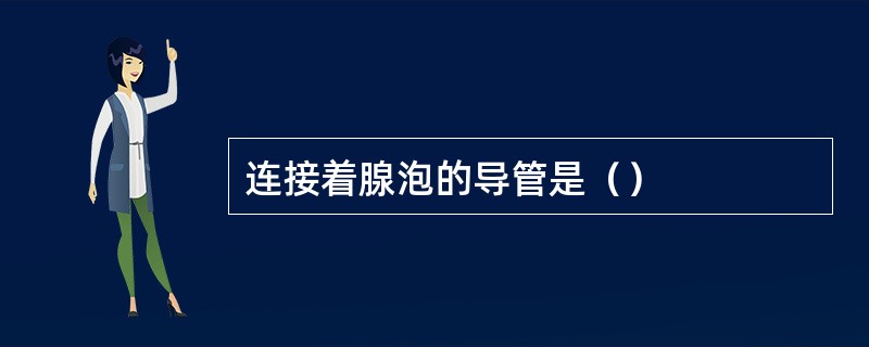 连接着腺泡的导管是（）