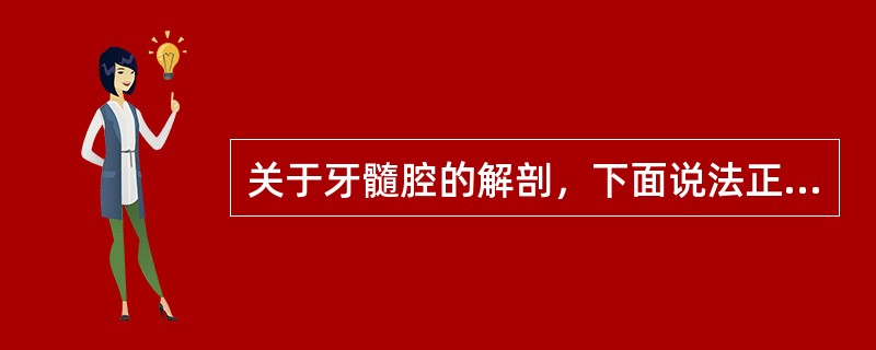 关于牙髓腔的解剖，下面说法正确的是（）