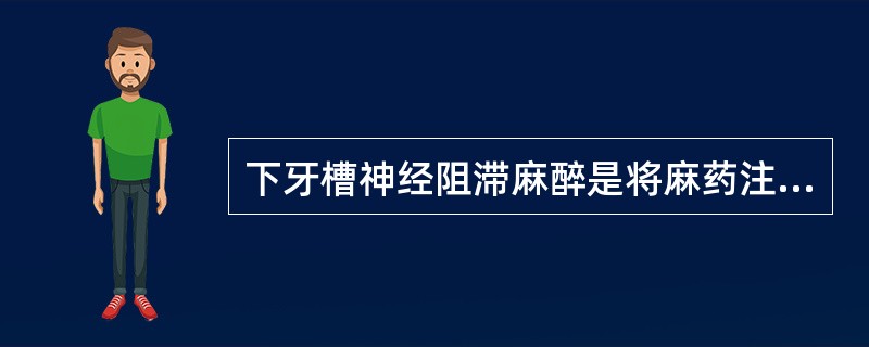 下牙槽神经阻滞麻醉是将麻药注入（）