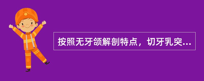 按照无牙颌解剖特点，切牙乳突为（）