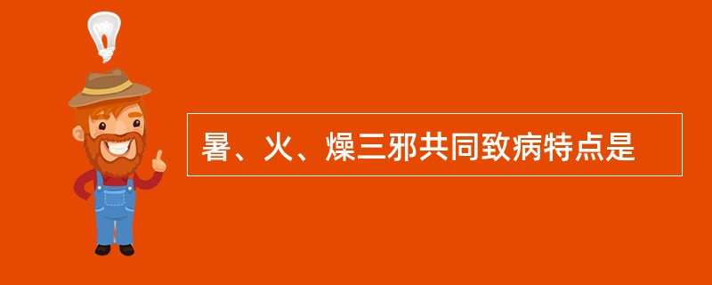 暑、火、燥三邪共同致病特点是