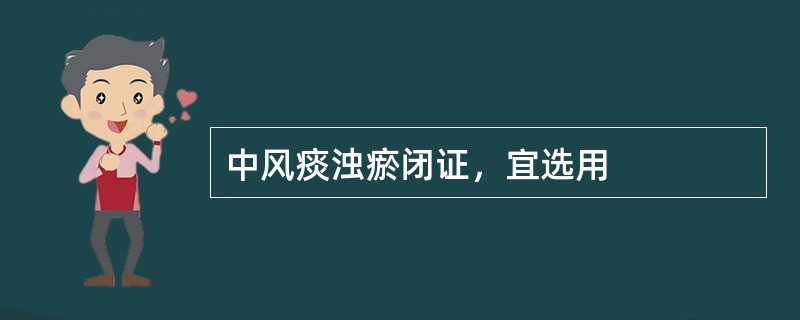 中风痰浊瘀闭证，宜选用