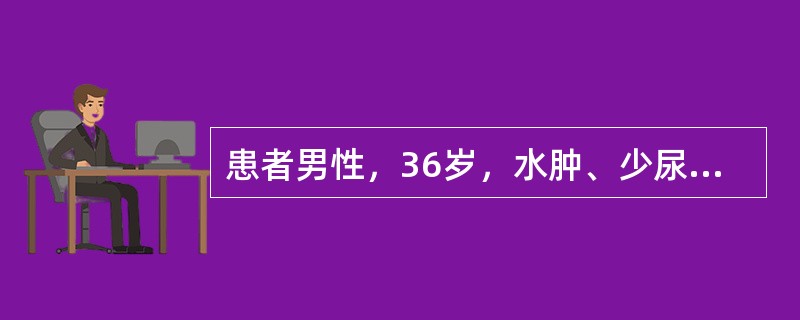 患者男性，36岁，水肿、少尿1个月，鼻出血3天，查体贫血貌，血压160／90mmHg，Hb80g／L，尿蛋白(++)，尿隐血(++)，尿红细胞6～8个／HP，血肌酐846μmol／L，B超示左肾9．1