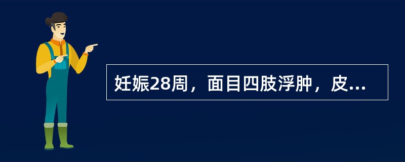 妊娠28周，面目四肢浮肿，皮薄光亮，按之凹陷不起，面色无华，脘腹胀满，食欲不振，小便少，大便溏，舌淡体胖有齿痕，苔白润，脉缓滑。其治法是