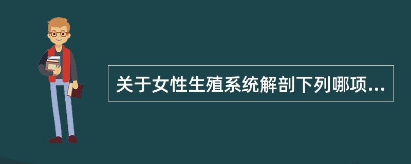 关于女性生殖系统解剖下列哪项是错误的：