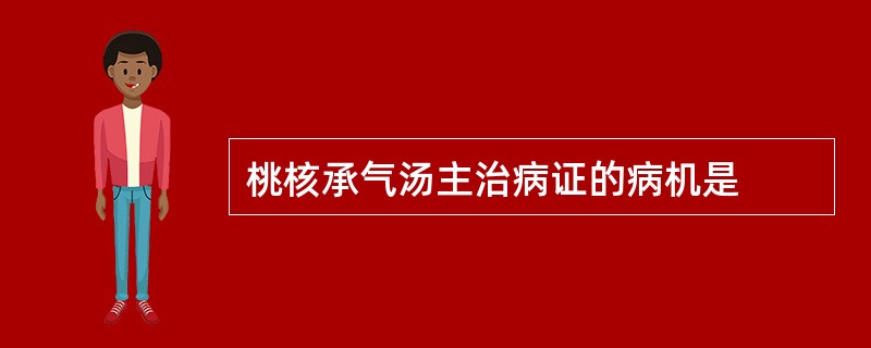 桃核承气汤主治病证的病机是