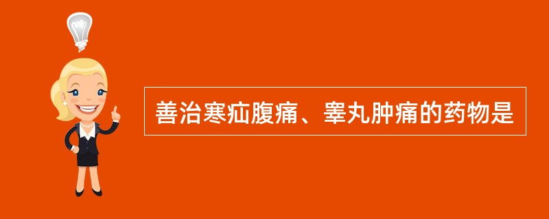 善治寒疝腹痛、睾丸肿痛的药物是