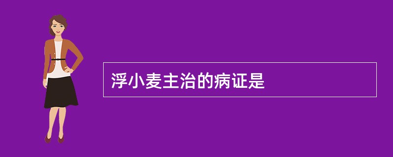 浮小麦主治的病证是