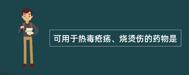 可用于热毒疮疡、烧烫伤的药物是