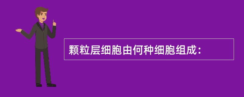 颗粒层细胞由何种细胞组成：