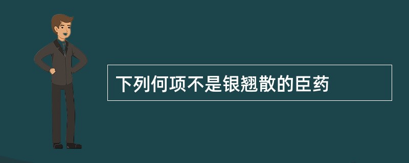 下列何项不是银翘散的臣药