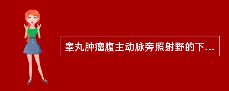 睾丸肿瘤腹主动脉旁照射野的下界为