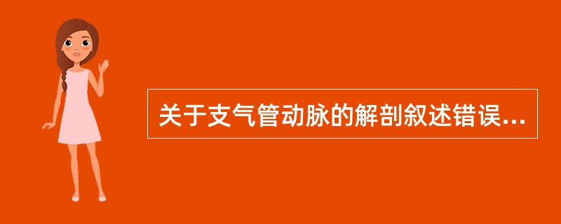 关于支气管动脉的解剖叙述错误的是