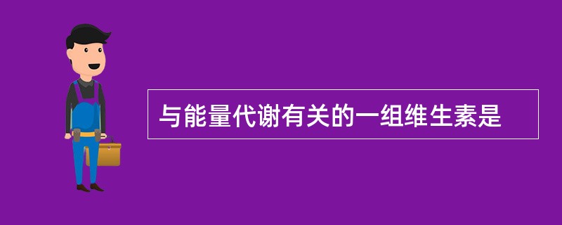 与能量代谢有关的一组维生素是