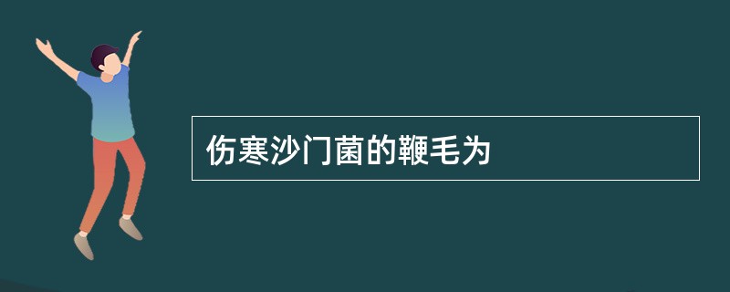 伤寒沙门菌的鞭毛为
