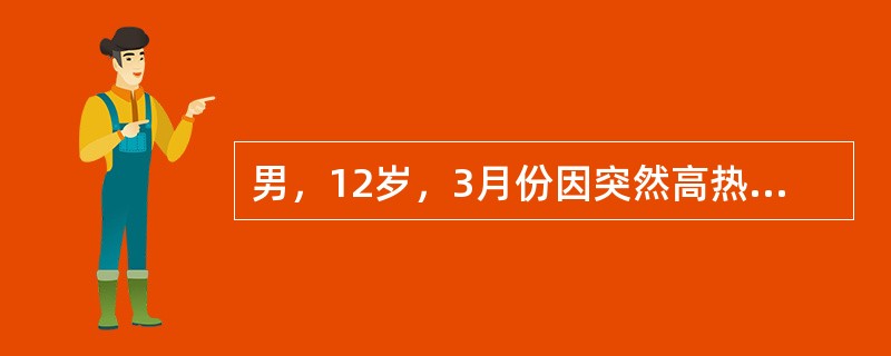 男，12岁，3月份因突然高热，头痛，频繁呕吐入院，全身皮肤黏膜瘀斑不断增加，融合成片，血压75／50mmHg，血小板50×10<img border="0" style=&q