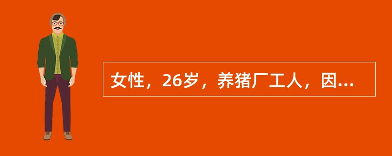 女性，26岁，养猪厂工人，因发热全身酸痛5天，于7月22日入院，T40℃，眼结合膜充血，腹股沟淋巴结蚕豆大，有压痛，腓肠肌轻压痛，肝肋下可及轻叩痛，双肾区有叩击痛，尿蛋白（+），每高倍视野有RBC2～