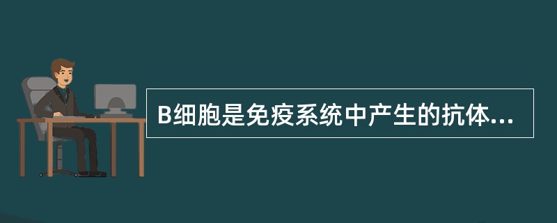 B细胞是免疫系统中产生的抗体细胞，它不存在于