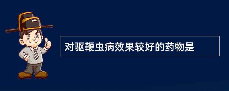 对驱鞭虫病效果较好的药物是