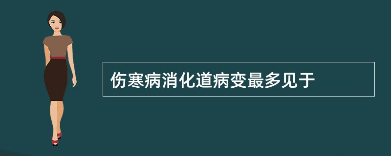 伤寒病消化道病变最多见于