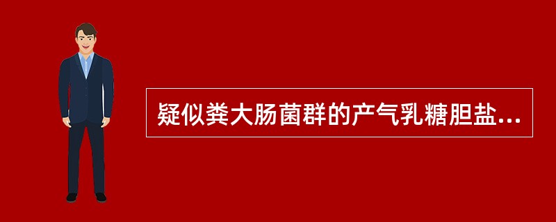 疑似粪大肠菌群的产气乳糖胆盐发酵管培养物转种于