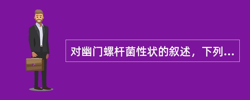 对幽门螺杆菌性状的叙述，下列哪项不正确：