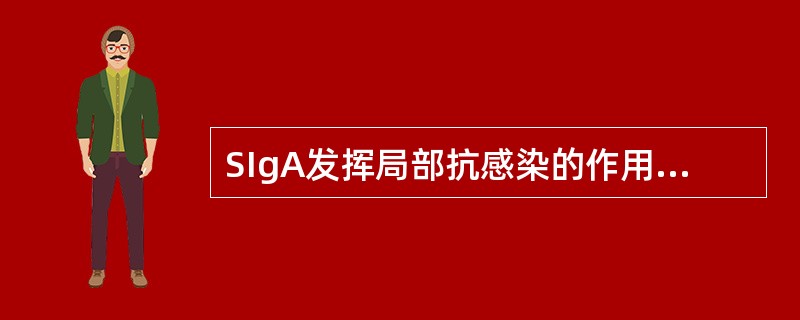 SIgA发挥局部抗感染的作用机制是: