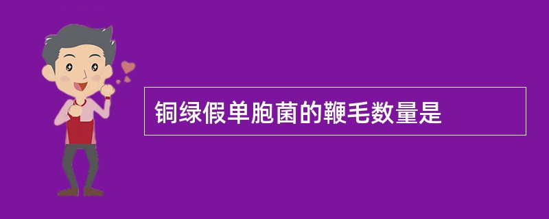 铜绿假单胞菌的鞭毛数量是