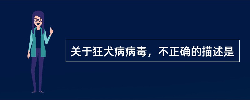 关于狂犬病病毒，不正确的描述是