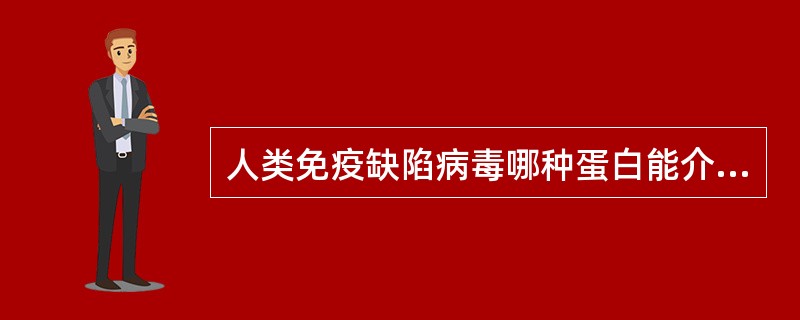 人类免疫缺陷病毒哪种蛋白能介导病毒包膜与宿主细胞膜发生融合：