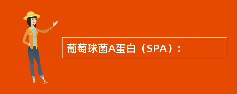 葡萄球菌A蛋白（SPA）: