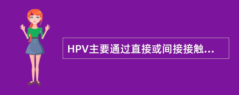 HPV主要通过直接或间接接触污染物品或以下途径传播感染人类