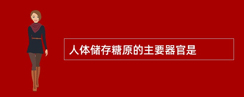 人体储存糖原的主要器官是